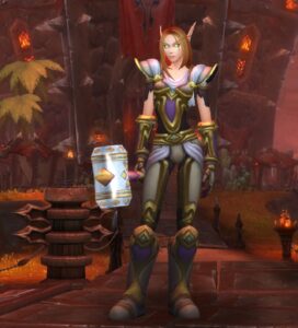 World of Warcraft Paladin Class