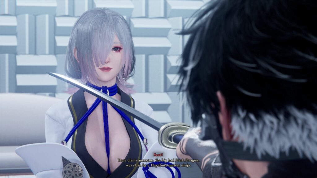 Ninja Gaiden 4 Seori